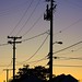 Dawn Powers Photo 36