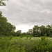 Ann Bush Photo 22