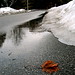 Nicole Bergeron Photo 14