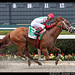 Edgar Stephens Photo 8