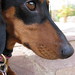 Brandy Henderson Photo 22