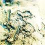 Lisa Nichols Photo 26
