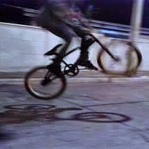 Joaquin Saavedra Photo 5