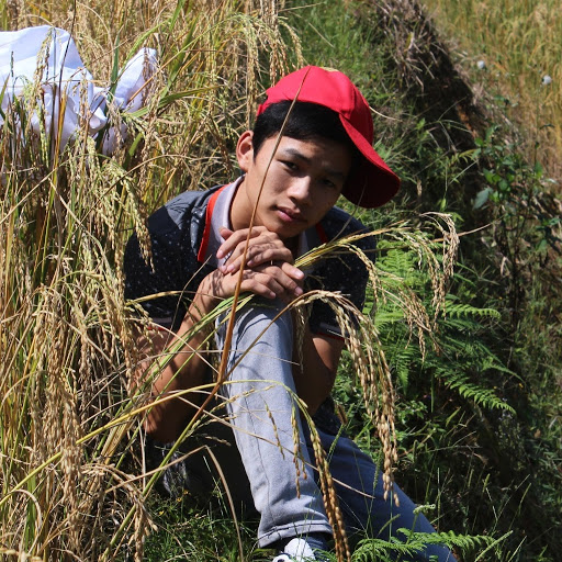 Phong Ho Photo 10