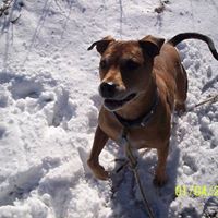 Brian Carlson Photo 15