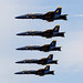 Andrew Simonsen Photo 19