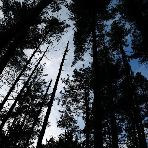 John Millard Photo 19