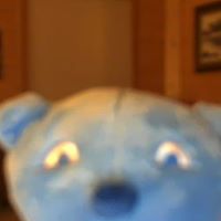 Thomas Cody Photo 20