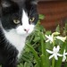 Seth Flowers Photo 11