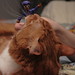 Steve Farley Photo 41