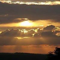 Cheryl Pierce Photo 43
