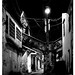 Quy Tang Photo 21