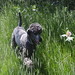 Connie Pond Photo 8