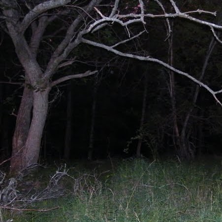 Eric Payne Photo 30