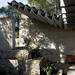 Jose Barrera Photo 10