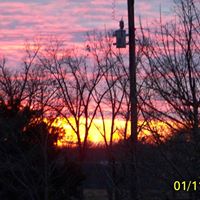 Diann Simpson Photo 3