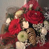 Thelma Robinson Photo 12