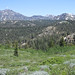 Raymond Meadows Photo 11