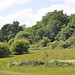William Saxon Photo 27
