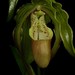 Paul Conroy Photo 40