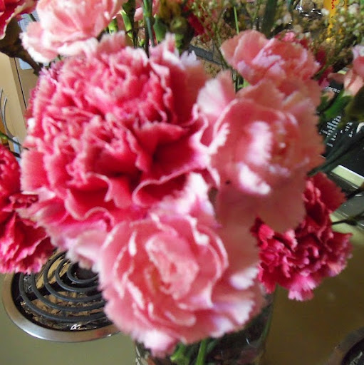 Debbie Graves Photo 26