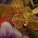 Fred Flowers Photo 31