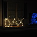 Julie Locke Photo 27