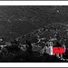 Jose Escalante Photo 39