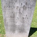 Andrew Wilcox Photo 36