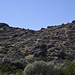 Eric Pinon Photo 21