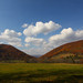 Virginia Spring Photo 2