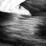 Heather Shinn Photo 19