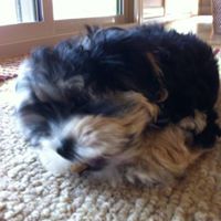 Marcia Alford Photo 7