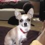 Debra Burton Photo 25