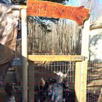 Heather Joyner Photo 30