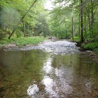 Don Powers Photo 10