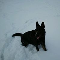 Janet Nolden Photo 2