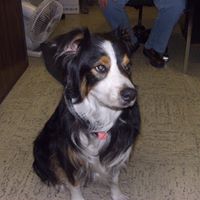 Debbie Neely Photo 15