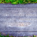 Gloria Lowe Photo 20