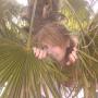Laura Thomason Photo 38
