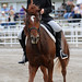 Sandra Trotter Photo 34