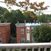 Roberta Maple Photo 4