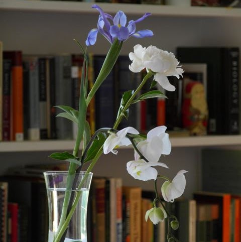 Julia Berthet Photo 3