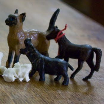 Kelly Spitzer Photo 3