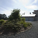Michelle Mcminn Photo 20