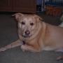 Sue Weston Photo 21