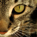 Thor Her Photo 6