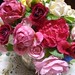Mary Fairchild Photo 27