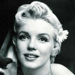 Alison Gardiner Photo 5