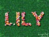 Lily Yu Photo 10